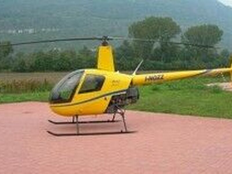 Robinson R22 Series 